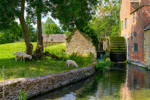 Two sheep graze near a stone cottage and watermill in the idyllic village of Lower Slaughter in the Cotswold District of Gloucestershire England, UK.