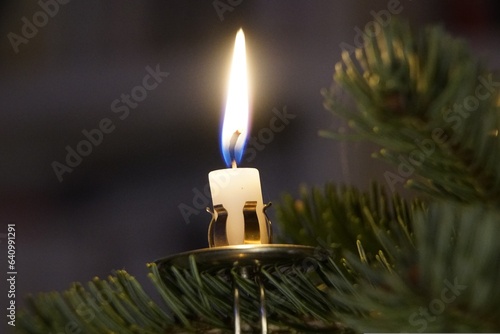 candle,christmas,tree,candlelight
