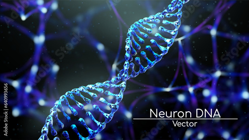 Abstract 3D polygonal wireframe DNA molecule on the background of brain neurons.