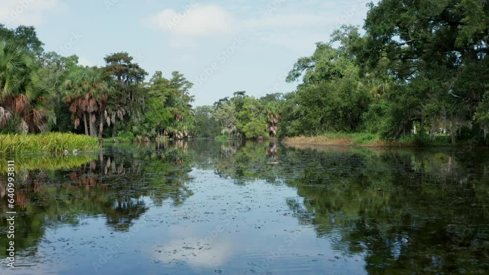 Bayou swamp surrounded by old oak trees in City Park, New Orleans Bayou swamp surrounded by old oak trees in City Park, New Orleans