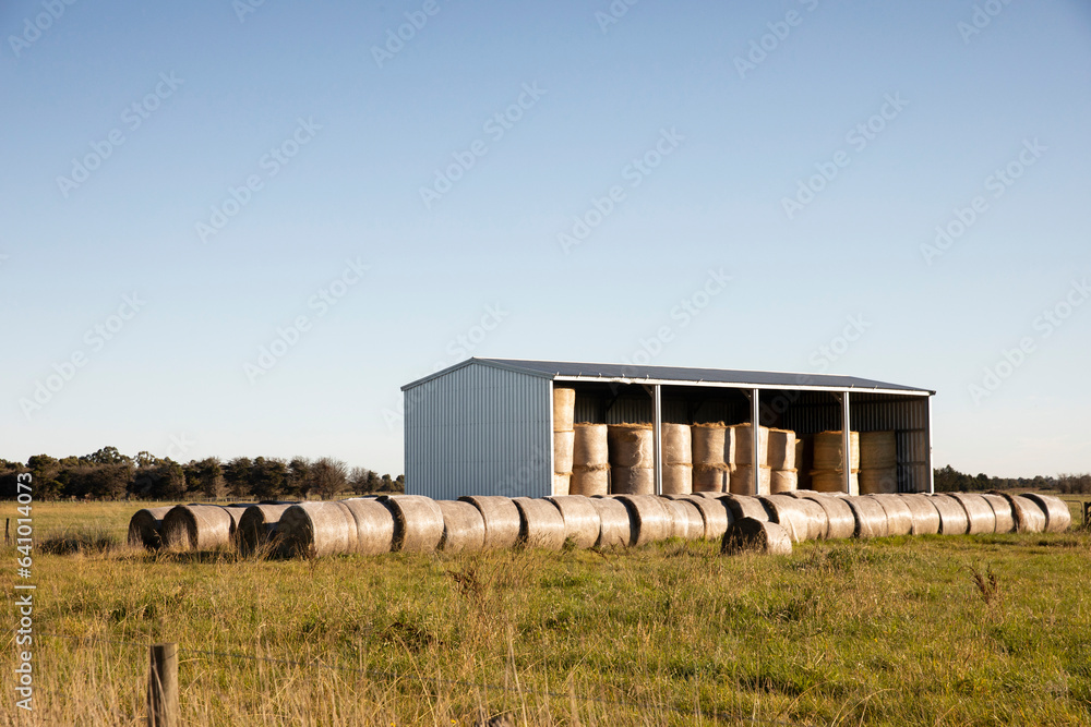 Agricultural Barnyard With Hay Bales Rolled Throughout the Field