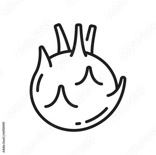 Kohlrabi cabbage with turnip-shaped stem isolated line icon. Vector biennial vegetable low raw root, vegetarian food, german cabbage turnip