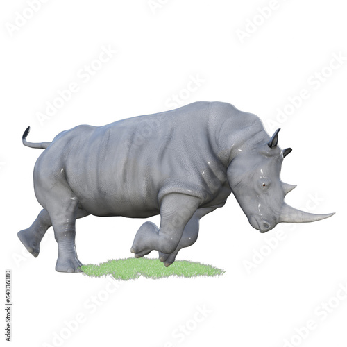 rhino isolated on white
