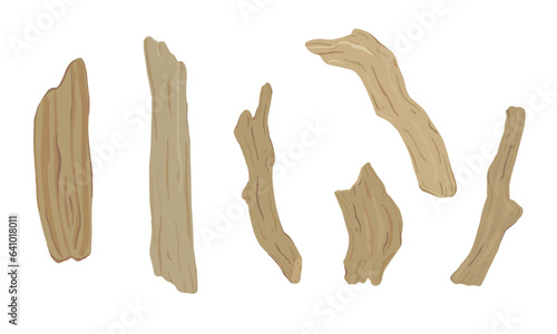 Set of driftwood illustration.  Tree branches, wood sticks. Hand drawn vector.