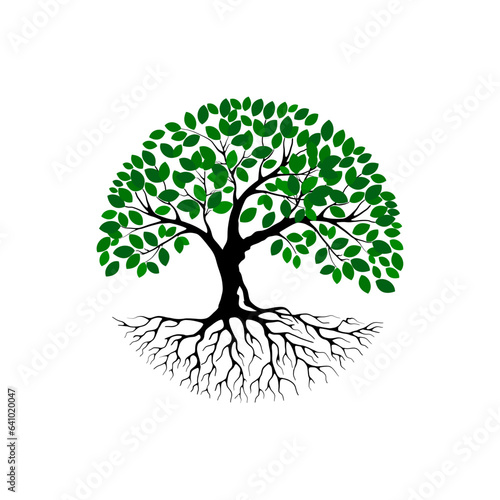 rooted tree logo design. banyan tree with circular shape