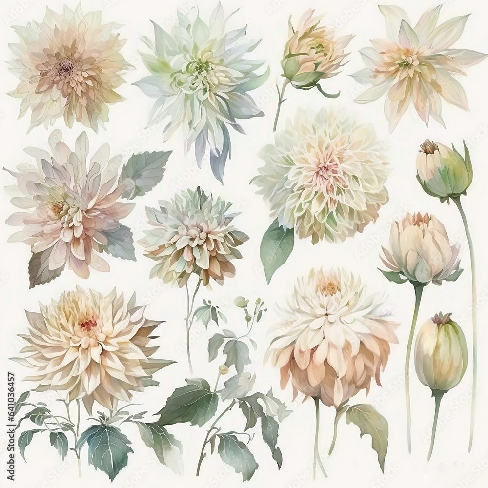 A Collection of Dahlia Loose Watercolor Muted Color Illustration