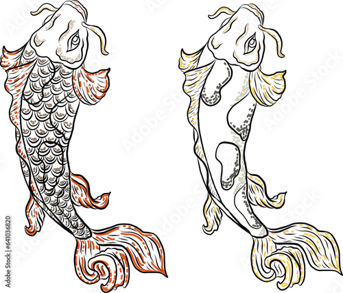 koi carp vector isolate for tattoo.Japanese carp drawing.Hand drawn line art of fish (Koi carp). Vector isolated. Idea for tattoo and coloring books.