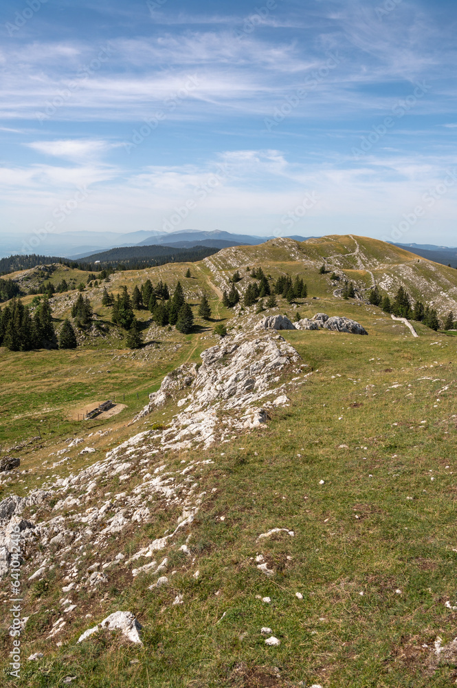 pâturage au mont Tendre, Jura Vaudois