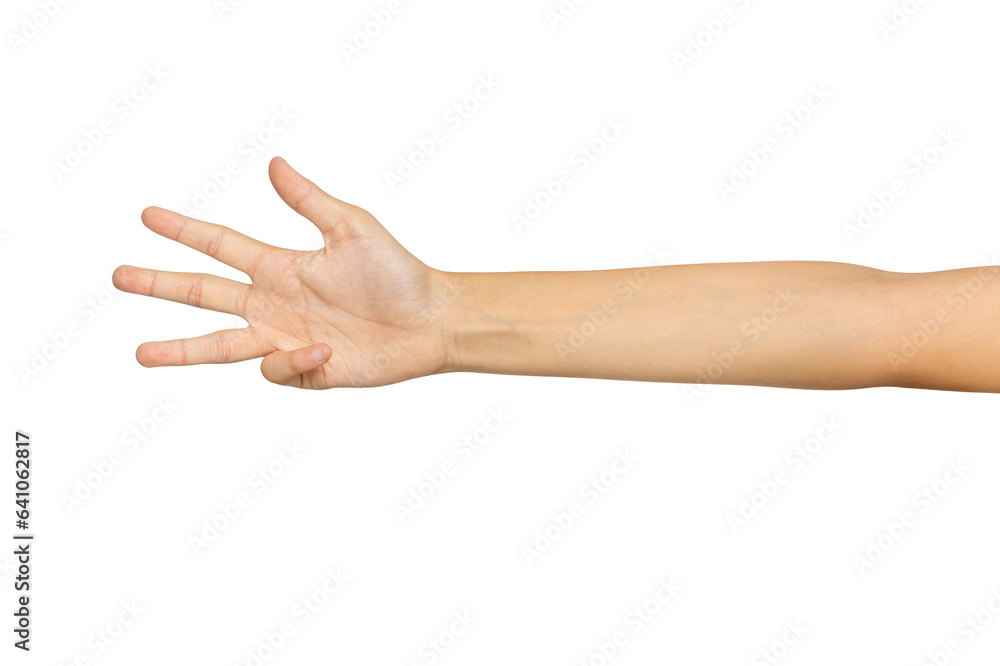 Female caucasian hand gestures isolated on white background with. Female caucasian hand gestures isolated on white background with.