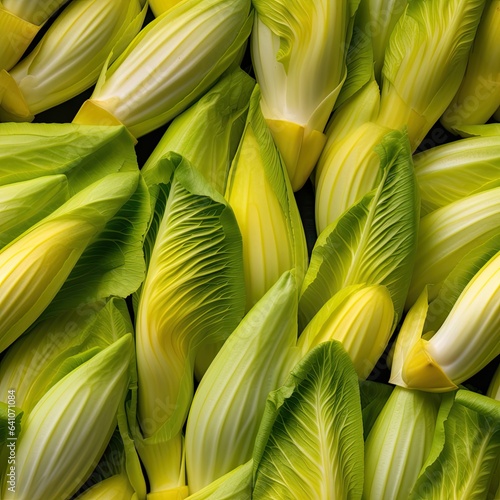 Endive as seamless tiles