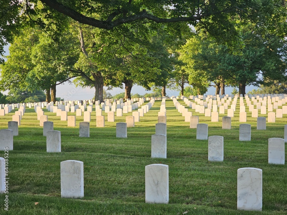 Naklejka premium american war cemetery