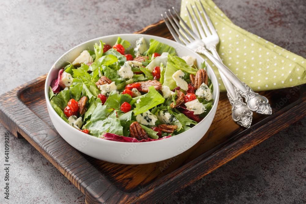 Delicious fresh salad with leaf lettuce, dried cherries, gorgonzola cheese, pecans dressed with vinaigrette sauce close-up in a bowl on the table. Horizontal Delicious fresh salad with leaf lettuce, dried cherries, gorgonzola cheese, pecans dressed with vinaigrette sauce close-up in a bowl on the table. Horizontal