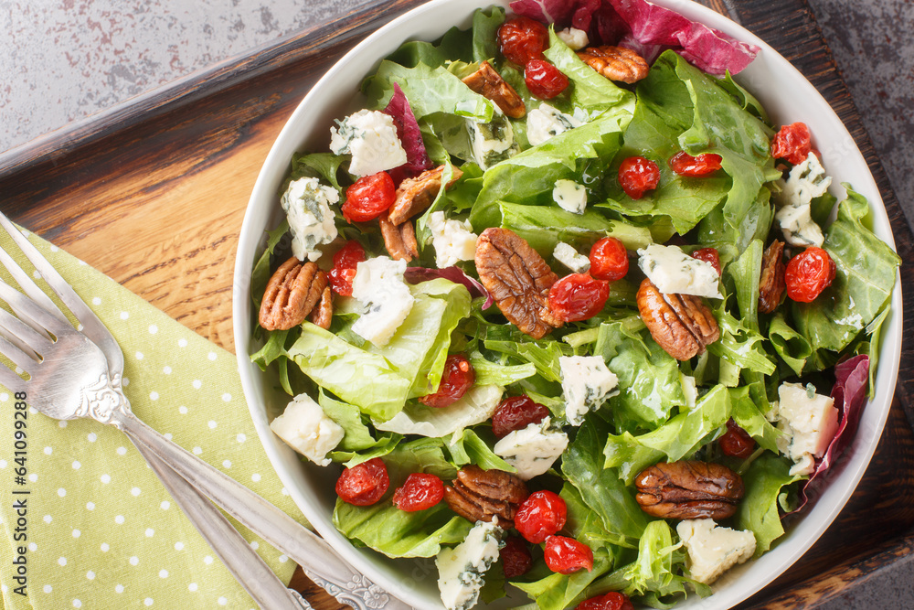American Michigan salad with dried cherries, blue cheese, and pecan tossed with a vinaigrette dressing closeup on the plate on the table. Horizontal top view from above American Michigan salad with dried cherries, blue cheese, and pecan tossed with a vinaigrette dressing closeup on the plate on the table. Horizontal top view from above