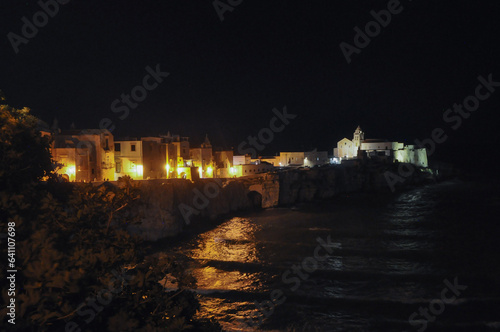 View of the city of Vieste at night