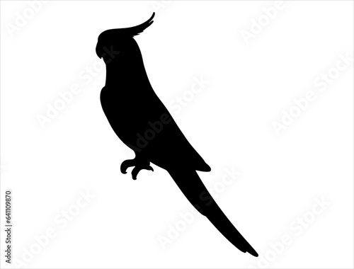 Cockatiel silhouette vector art
