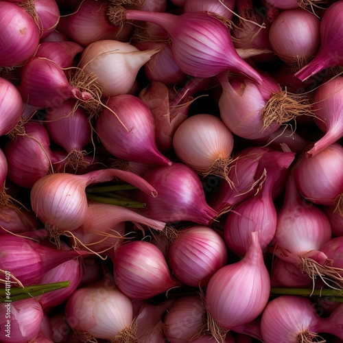 Shallots as seamless tiles