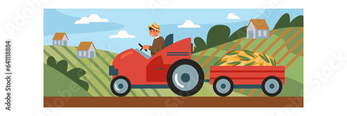 Young male driving tractor near corn fields carry trailer with harvested crops. Field processing, growing corn and harvesting concept. Flat vector illustration in cartoon style