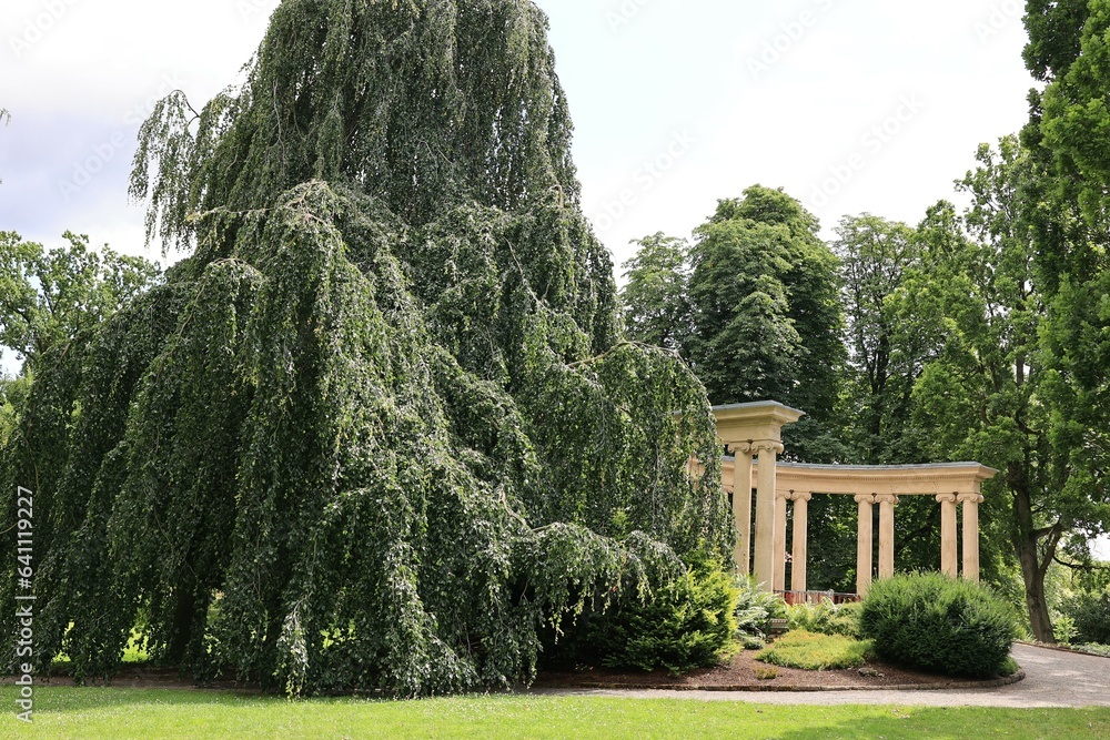 Blick in den Kurpark von Bad Eilsen in Niedersachsen