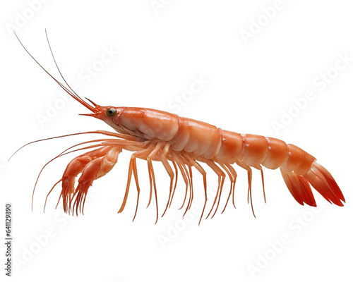 Shrimp isolated on transparent background