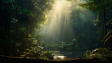 Dark rainforest sun rays through the trees