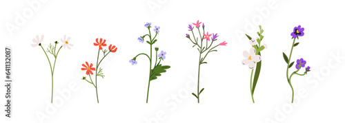 Flower stems set. Spring blooms, field and meadow plants. Gentle floral botanical elements. Delicate forget-me-nots, freesia, pansy. Flat graphic vector illustrations isolated on white background