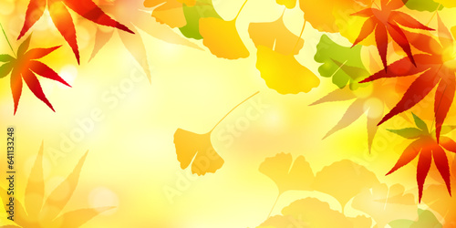 紅葉　もみじ　イチョウ　秋　背景