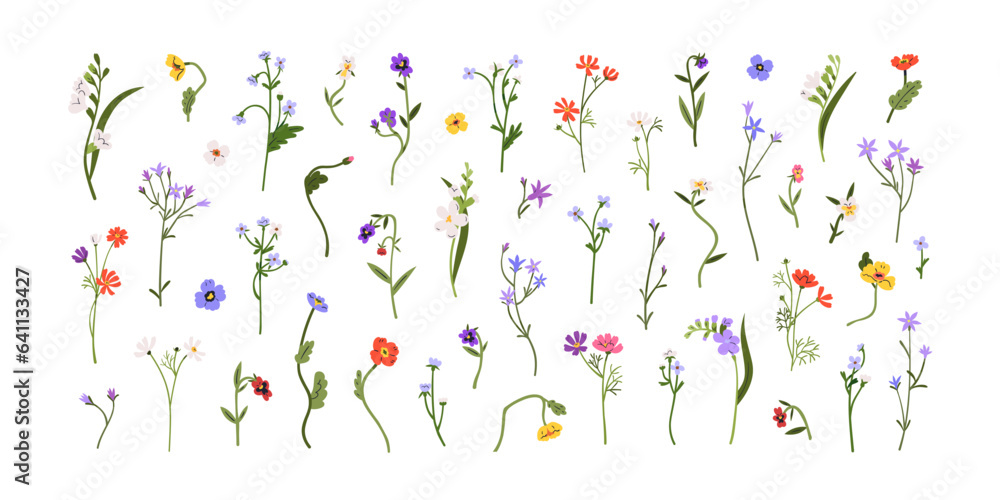 Spring flowers, floral stems, branches set. Gentle blooming field plants. Botanical decorations, anemones, freesia, spreading bellflower. Flat graphic vector illustrations isolated on white background