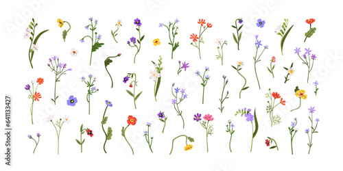 Spring flowers, floral stems, branches set. Gentle blooming field plants. Botanical decorations, anemones, freesia, spreading bellflower. Flat graphic vector illustrations isolated on white background