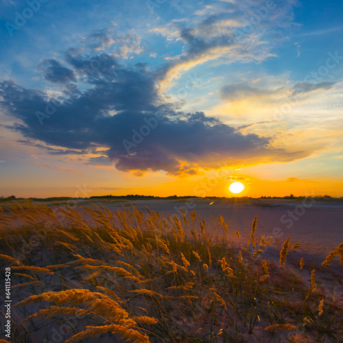 sandy prairie at the sunset © Yuriy Kulik