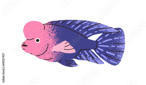 Cute fish, flowerhorn cichlids. Funny exotic tropical sea water animal with h...