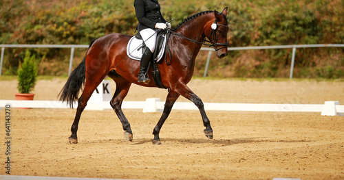 Changing dressage horse with rider in trot through the whole track..