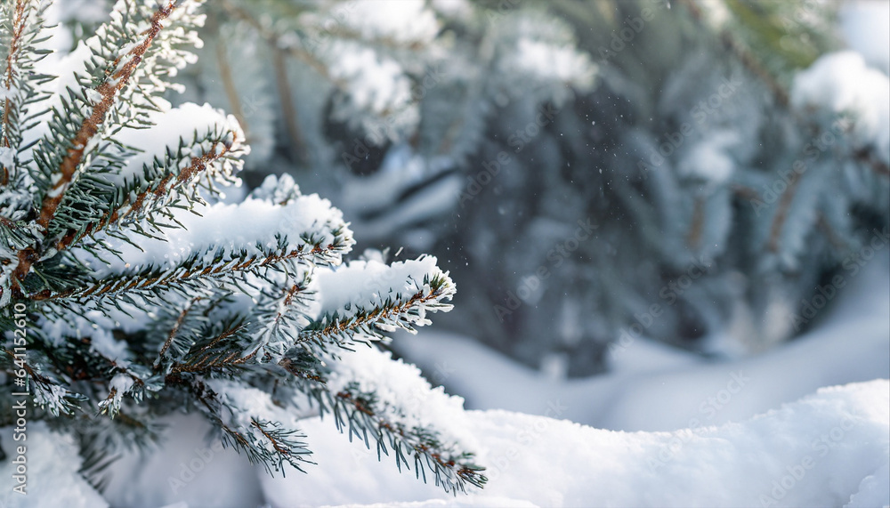 Beautiful winter background image of frosted spruce branches and small drifts of pure snow with bokeh