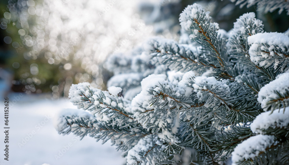 Beautiful winter background image of frosted spruce branches and small drifts of pure snow with bokeh
