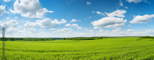 beautiful green field and blue sky on a sunny day. panorama  legal AI