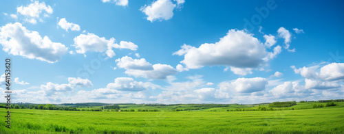beautiful panorama of field and blue sky, legal AI