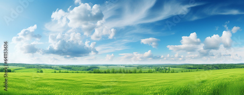 panorama of green field and blue sky with clouds on a sunny day, legal AI