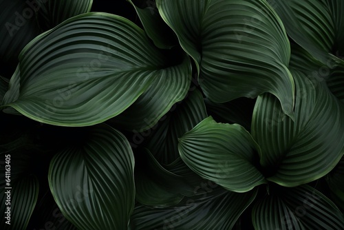 leaves that are dark green © OLKS_AI