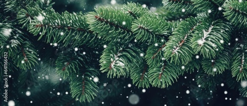 close up snow-covered fir green branches and snowfall flakes. Christmas banner background photo