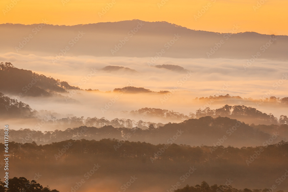 Beautiful scenery of Da Lat Da Lat is programmed in the mist and the sunlight shining through the mist creates a wonderful scene