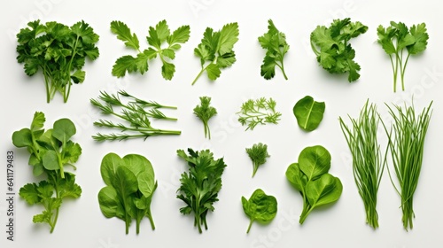 set of fresh herbs