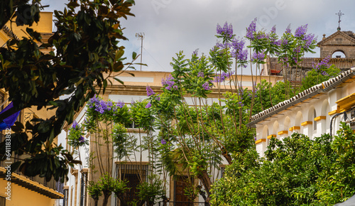 Jerez de la Frontera, Spain photo