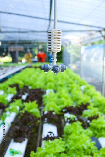 Greenhouse watering system in action