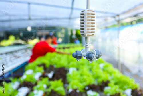 Greenhouse watering system in action