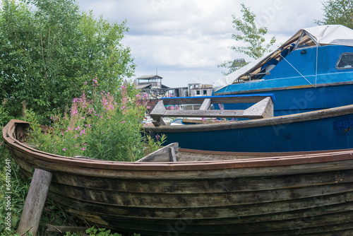 grass and flowers sprouted in an old wooden boat lying on the shore