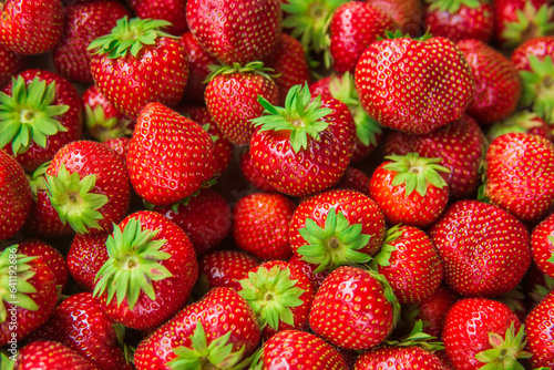 picked fresh ripe strawberries close up