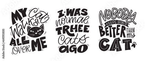 Funny hand drawn doodle lettering poster about cat. Cat lover, pet. Pet lover art