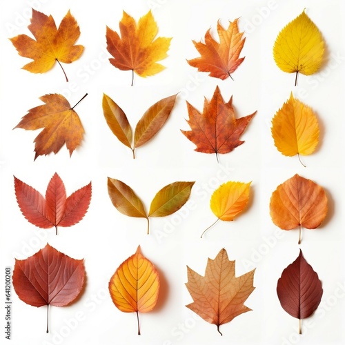 Collection of autumn leaves. Created with Generative AI technology 