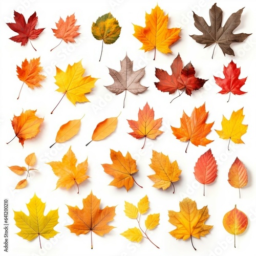 Collection of autumn leaves. Created with Generative AI technology 