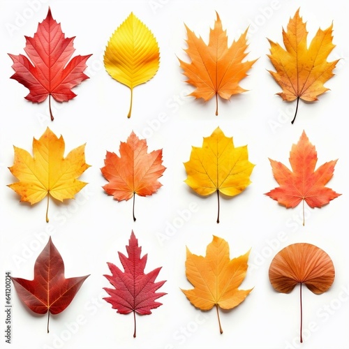 Collection of autumn leaves. Created with Generative AI technology 