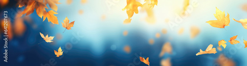 Yellow and orange fallen leaves on blue background. Abstract autumn natural backdrop. Fall season